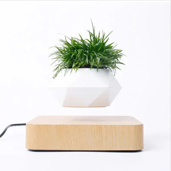 Levitating Plant Pot – Magnetic Floating Planter for Desk Decor