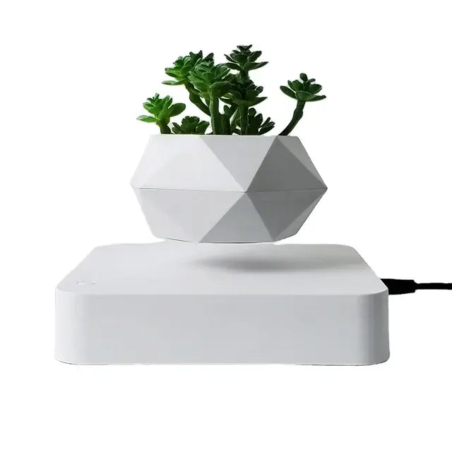 Levitating Plant Pot – Magnetic Floating Planter for Desk Decor