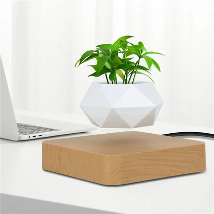 Levitating Plant Pot – Magnetic Floating Planter for Desk Decor