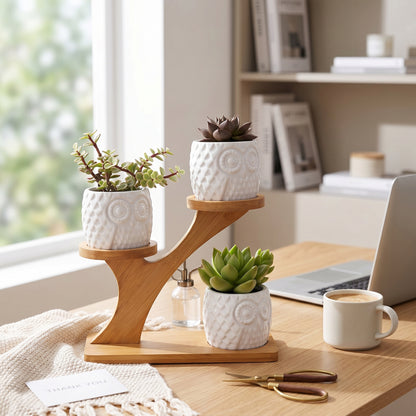 Bamboo Shelf with 3 Mini Succulent Pots – Desk & Home Decor