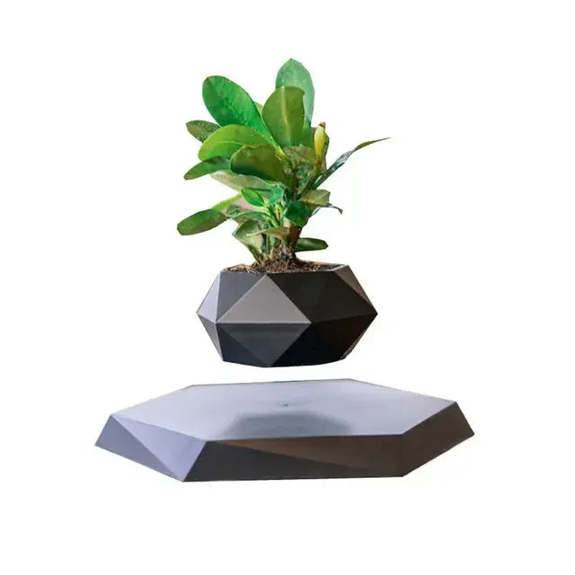 Levitating Plant Pot – Magnetic Floating Planter for Desk Decor