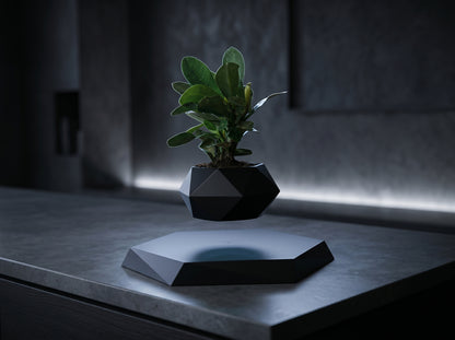 Levitating Plant Pot – Magnetic Floating Planter for Desk Decor