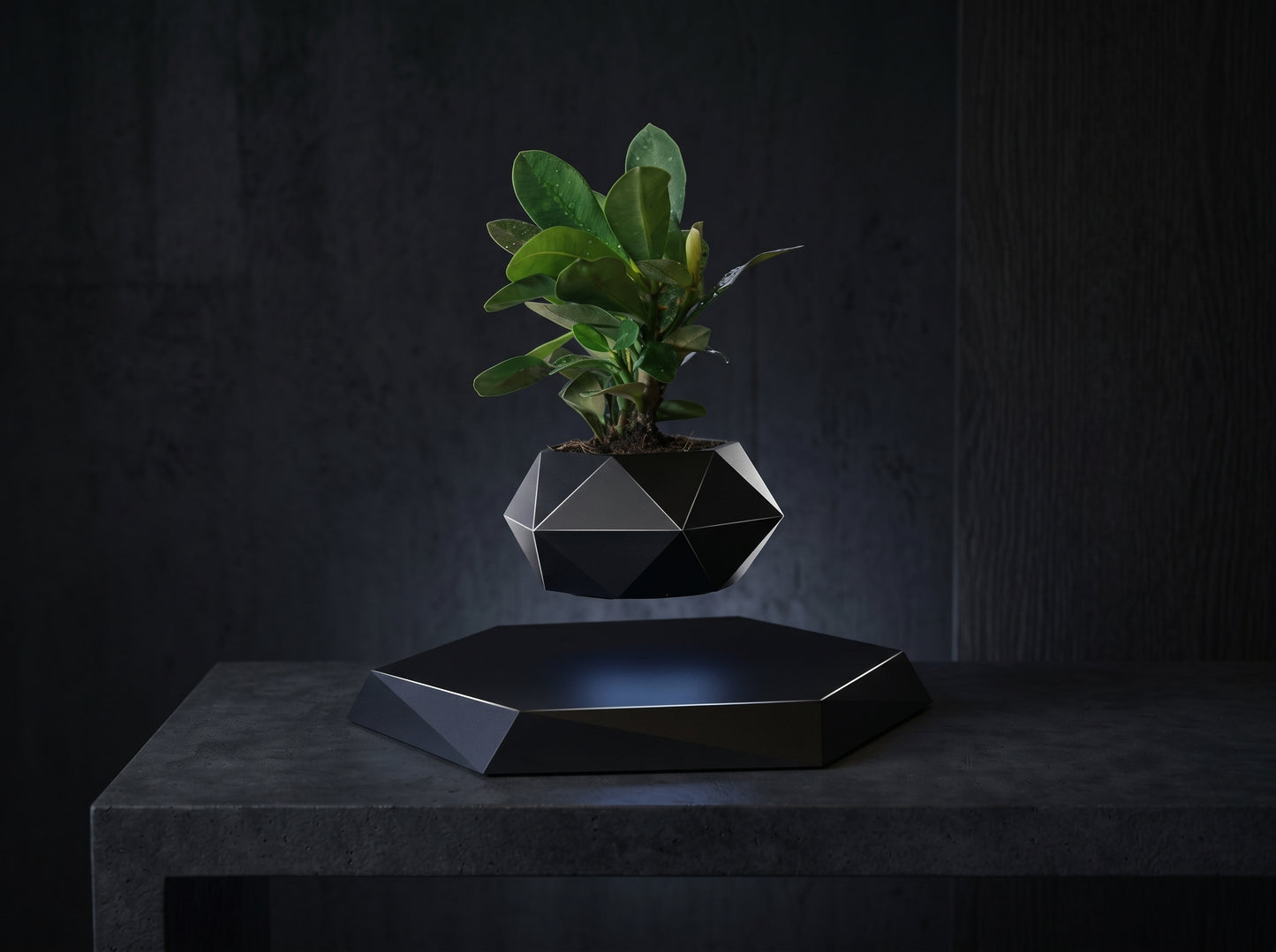Levitating Plant Pot – Magnetic Floating Planter for Desk Decor