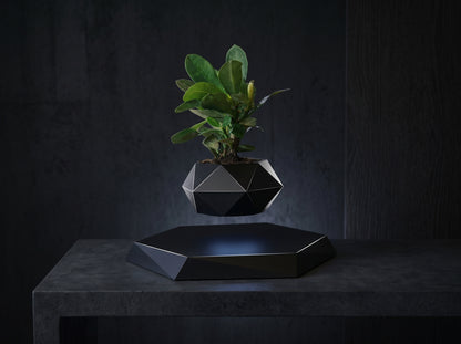 Levitating Plant Pot – Magnetic Floating Planter for Desk Decor