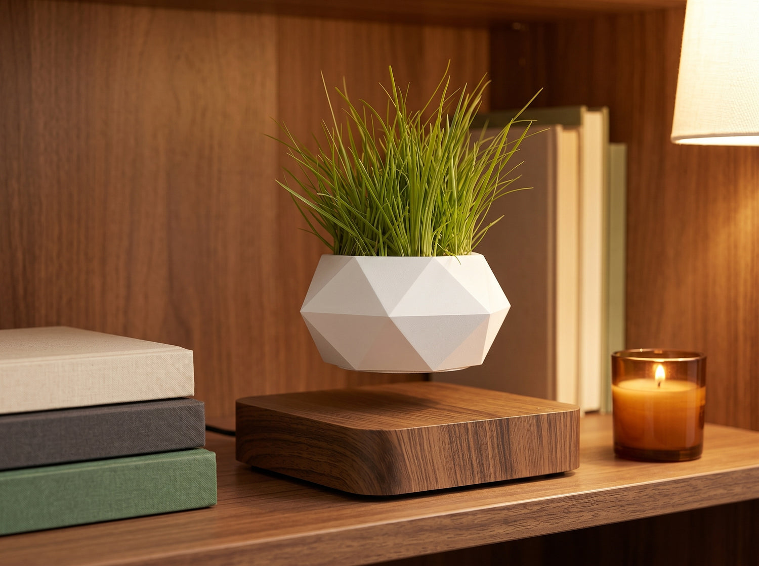 Levitating Plant Pot – Magnetic Floating Planter for Desk Decor