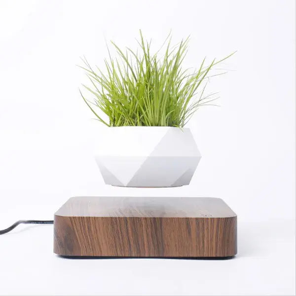Levitating Plant Pot – Magnetic Floating Planter for Desk Decor
