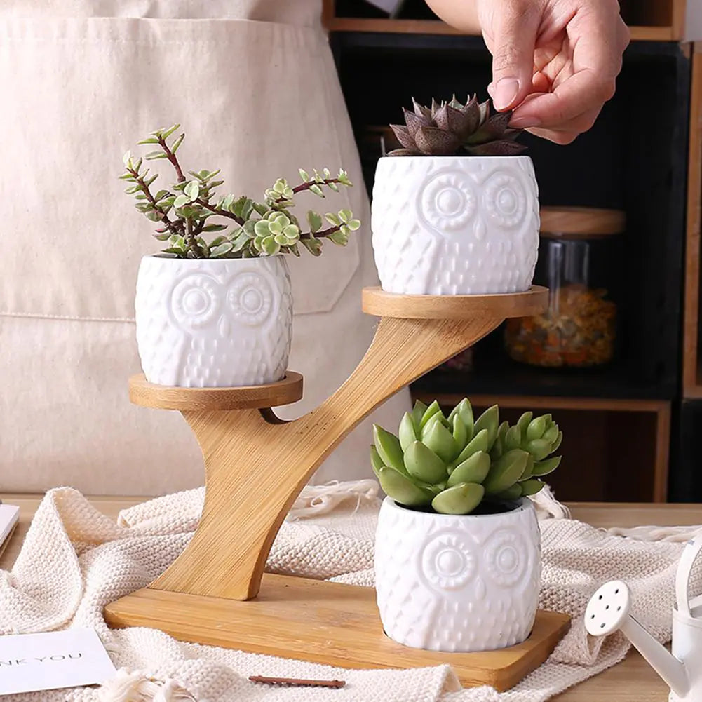 Bamboo Shelf with 3 Mini Succulent Pots – Desk & Home Decor