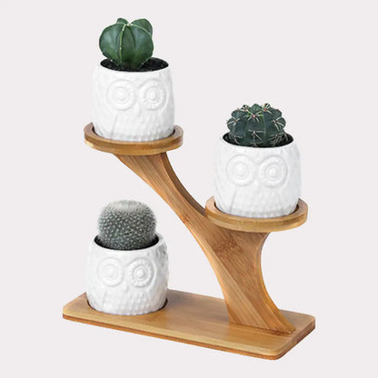 Bamboo Shelf with 3 Mini Succulent Pots – Desk & Home Decor