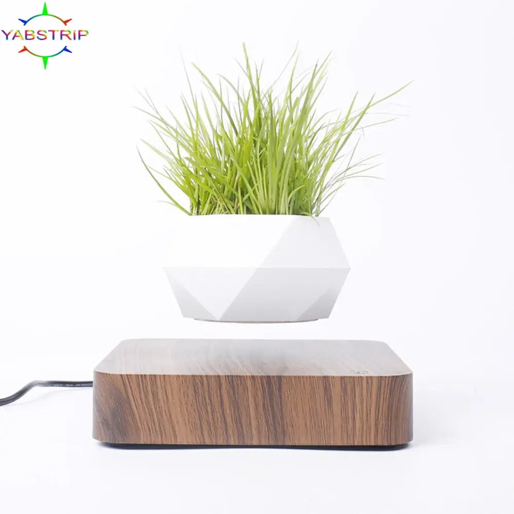 Levitating Plant Pot – Magnetic Floating Planter for Desk Decor
