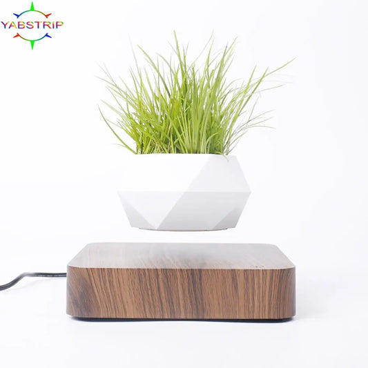 Levitating Plant Pot – Magnetic Floating Planter for Desk Decor