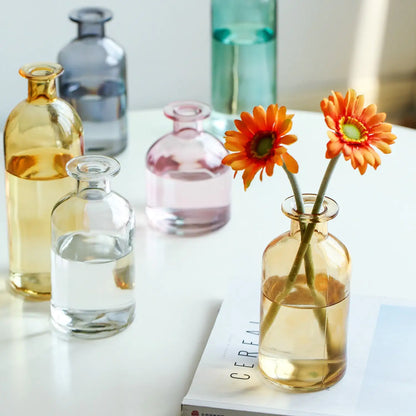 Nordic Glass Flower Vase – Clear Tabletop Decor for Dining