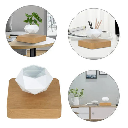 Levitating Plant Pot – Magnetic Floating Planter for Desk Decor