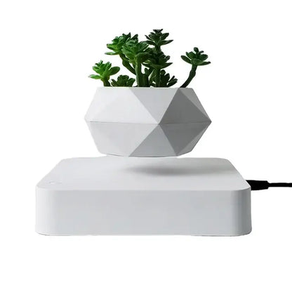 Levitating Plant Pot – Magnetic Floating Planter for Desk Decor
