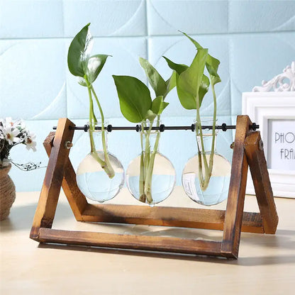 Glass & Wood Desktop Planter – Mini Plant Vase for Office