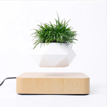 Levitating Plant Pot – Magnetic Floating Planter for Desk Decor
